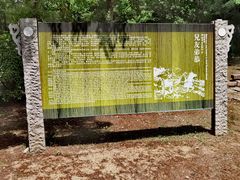 -梁鸿国家湿地公园