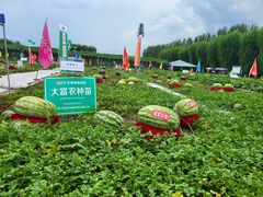 -长春农博园
