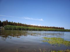 -春花秋色城市公园