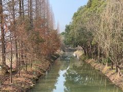 -同里国家湿地公园