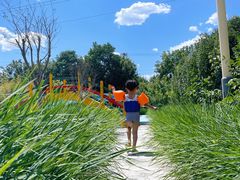 -南宫温泉水世界