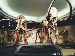 -大庆市博物馆