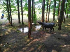 -南京金牛湖风景区