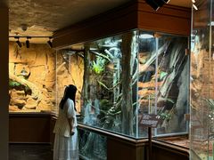 -帕帕拉兹宠物(亚洲旗舰店)