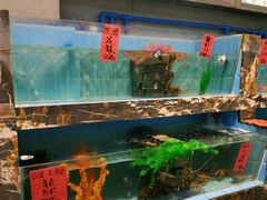 水产区-大树头·花园餐厅(市桥店)