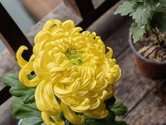 -丝绸小镇荻港古村