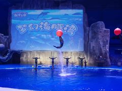 -华夏文旅海洋公园