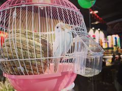 -兰木肆·云南菜(龙湖U城天街店)