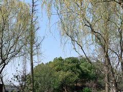 -广富林郊野公园