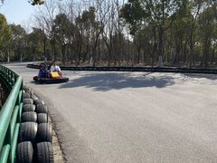 -上海海湾国家森林公园