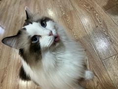 -白兔子密室(长寿路店)