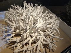 -天津自然博物馆