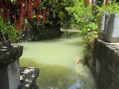 -小洲村