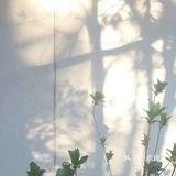 《赋能》《高绩效教练》是“同一本书