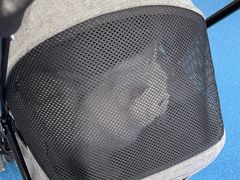 -创凡宠物医院·骨专科  猫科中心(西乡分院)