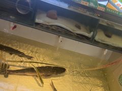 -咱屯子铁锅炖直营店(保利店)