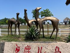 -安徽禾泉小镇