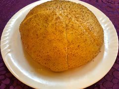 -大鹅岛绿色生态美食园