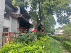 -时光吧·大堂吧·丽江和府洲际度假酒店