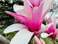 -永定河休闲森林公园