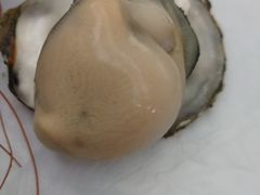 -宾朋海鲜特色美食餐厅·纯手工鲅鱼水饺(兴海路店)