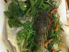 -肥弟大排档(汕樟路店)