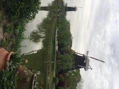 上海鲜花港-上海鲜花港