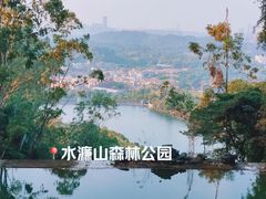 -水濂山森林公园
