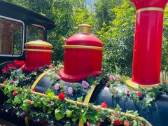 -西青郊野公园