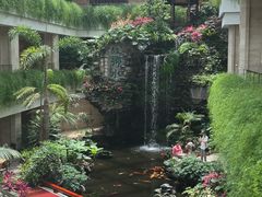 -广州白天鹅宾馆