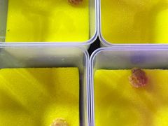 -华声天桥民俗文化园