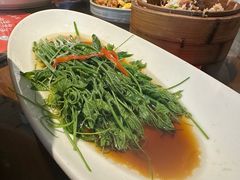 丝瓜尖-懒人盐府人家·自贡大麻鱼(安贞店)