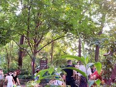-成都市活水公园
