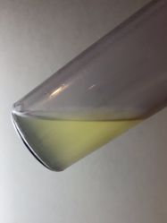 体验后-爱小熊轻医美