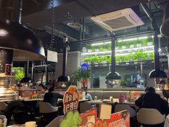 -猫抓烤肉(观音桥九街店)