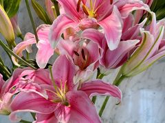 -潇湘府•湘菜领军品牌(望京店)