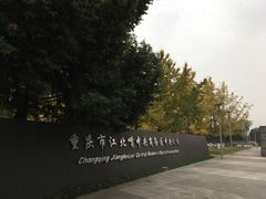 -重庆市江北嘴中央商务区中央公园