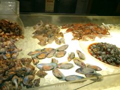 -东莞美怡登酒店(常平南站店)