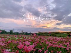 -花博汇(知音花月夜)