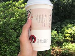 -茶颜悦色(岳麓山顶店)