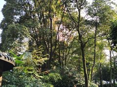 -成都市活水公园