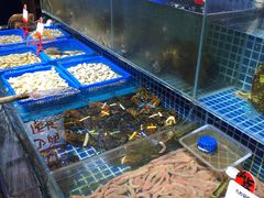 水产区-必点海鲜·鲅鱼水饺(鞍山西道店)