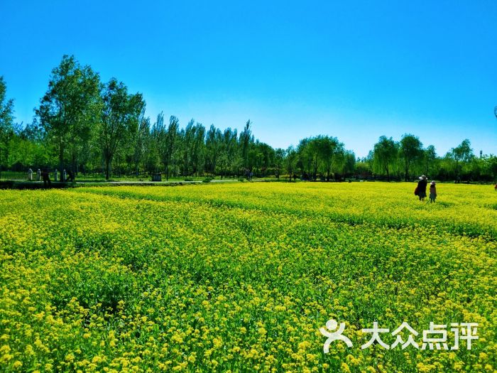 北塢公園-圖片-北京周邊遊-大眾點評網