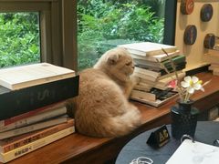 -咖法森林·咖啡  酒吧(天河店)