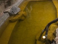 -静之湖湖畔餐厅