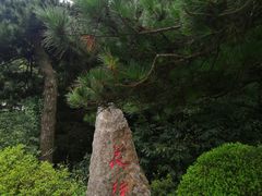 -庐山风景区花径公园