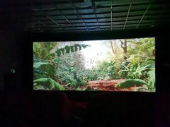 -大理好世界影城