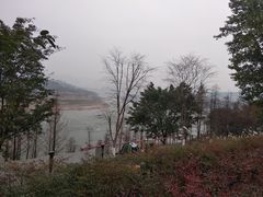 -金海湾滨江公园