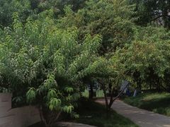-南长河公园