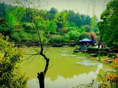 -铁山坪森林公园